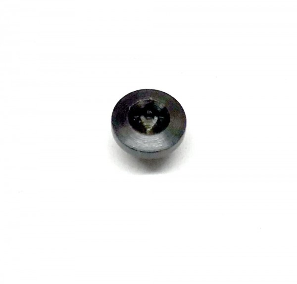 CZC AO1 Grip Screw Torx 1 Screw (4required for a set)